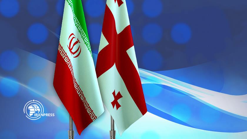Iranpress: Iran, Georgia discuss ways to solve Iranian investors