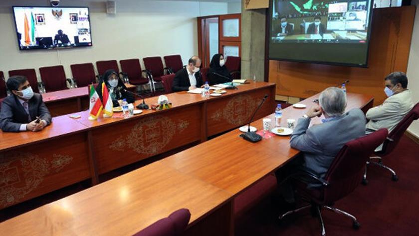 Iranpress: Iran, Indonesia ink MoU on librarianship