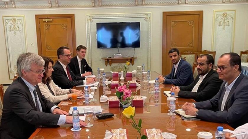 Iranpress: Swedish Foreign Minister meets with Yemeni chief negotiator 