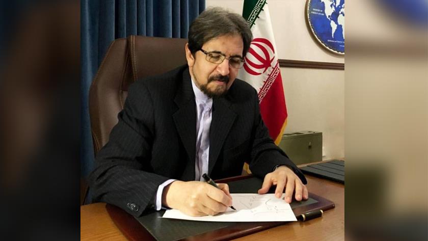 Iranpress: Iranians astonish world: Envoy