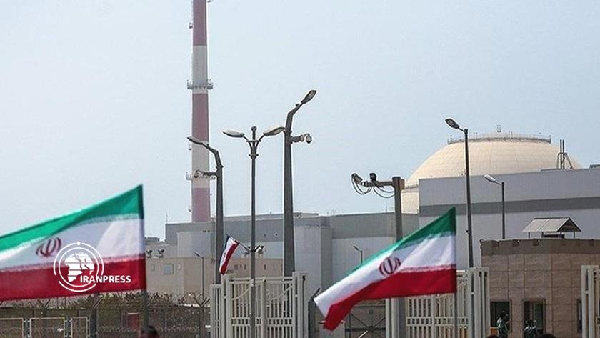 Iranpress: Bushehr nuclear power plant temporarily shut down 