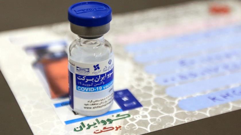 Iranpress: Iran increases production of COVIran Barekat vaccine