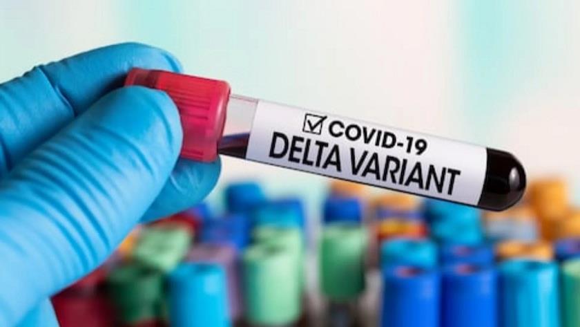 Iranpress: 95% may need to be vaccinated to stop Delta variant: French scientists