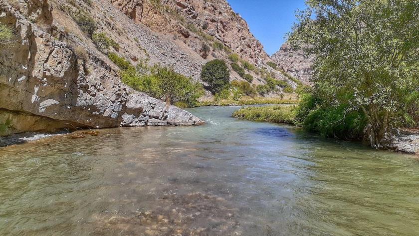 Iranpress: Gholjogh River in Iran, pristine, natural enough to imagine heaven