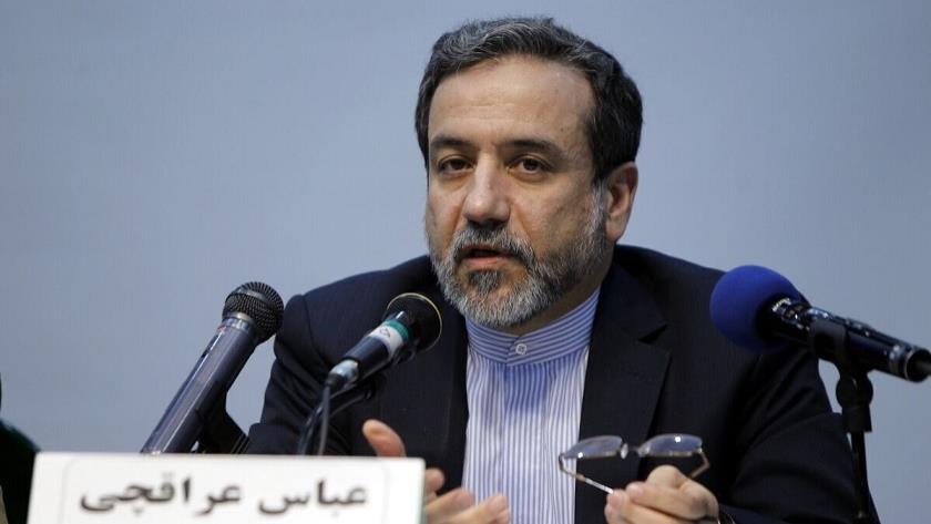 Iranpress: Vienna talks must await new Iran government: Araghchi