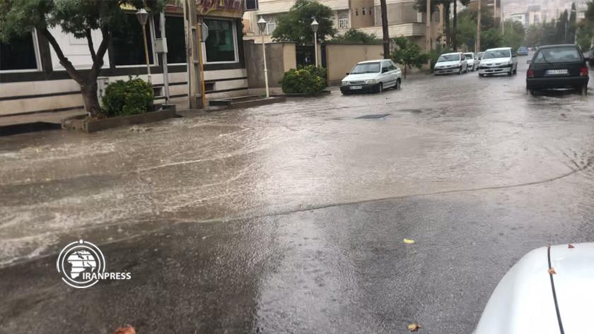 Iranpress: Beautiful rainfall in sizzling summer in Shiraz