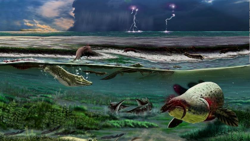 Iranpress: Newly found fossils suggest animal life started 890 million years ago