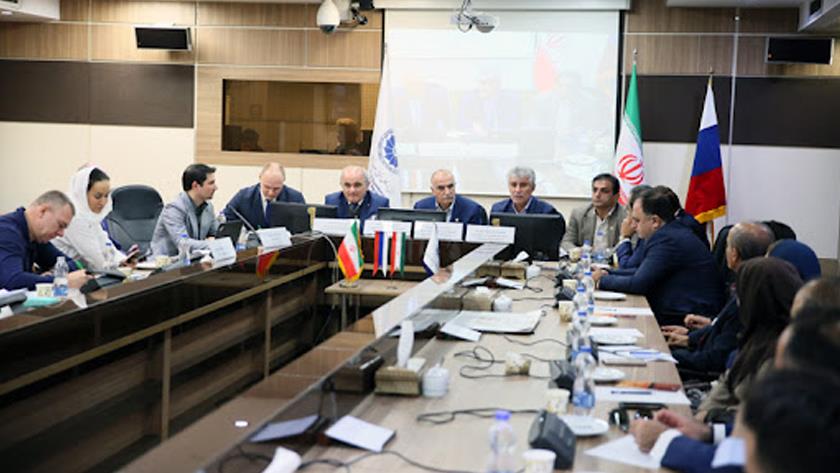 Iranpress: Sanctions prevented Iran to use of Eurasia