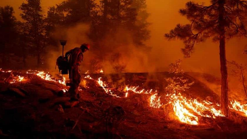 Iranpress: Eight missing as massive Dixie fire scorches northern California