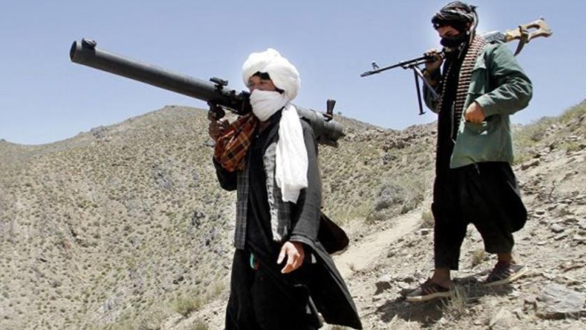 Iranpress: Taliban in talks with Afghan gov