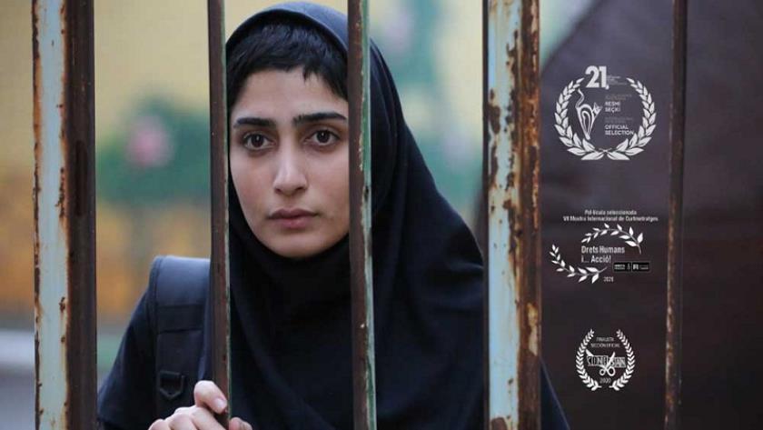 Iranpress: Iranian director receives American Film Festival