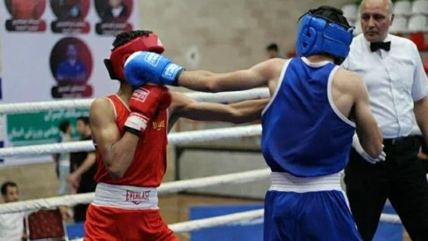 Iranpress: Iranian boxer snatches gold medal 