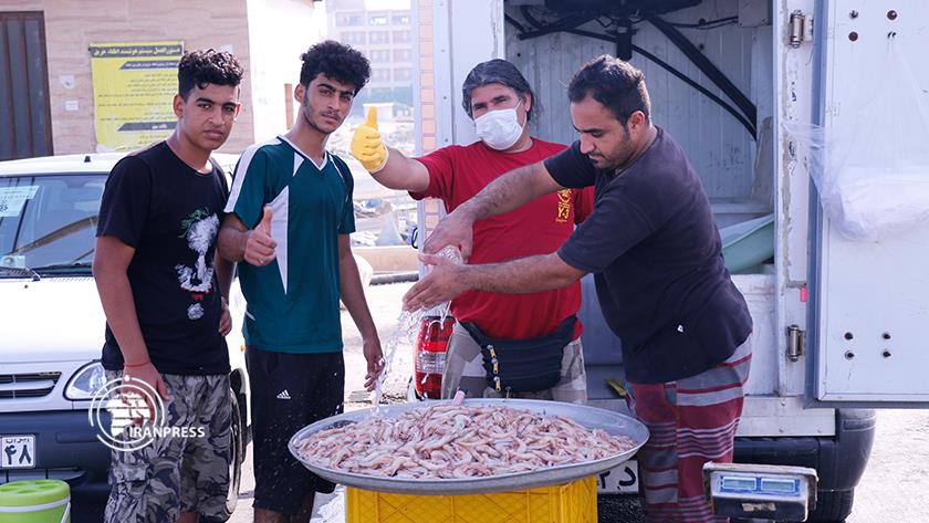 Iranpress: Iran exports Bushehr shrimp to regional countries