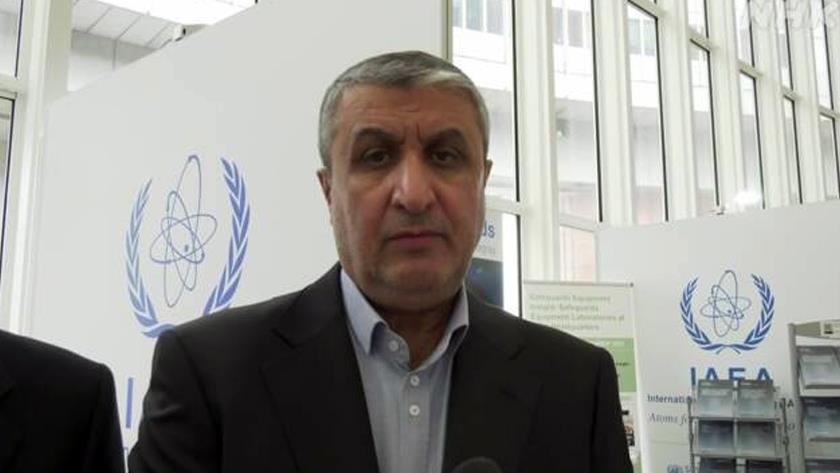 Iranpress: US must lift all sanctions against Iran: AEOI head