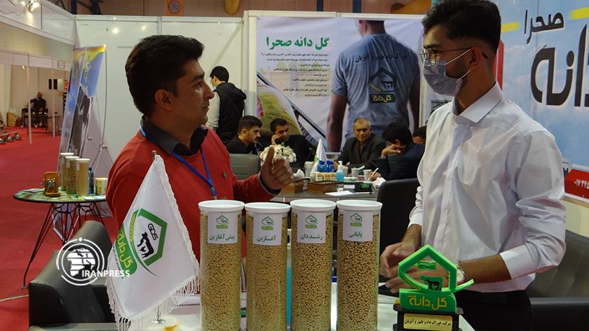 Iranpress: Iranian knowledge-based companies take part in Gorgan Agricultural Exhibition