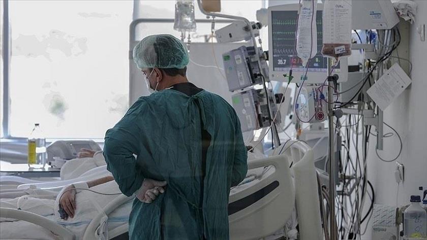 Iranpress: Turkey reports 214 new coronavirus deaths