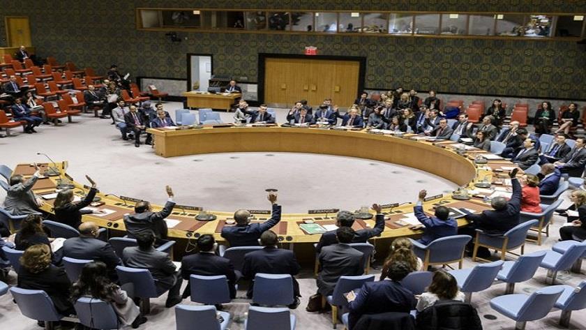 Iranpress: UN Security Council urges for immediate ceasefire in Yemen