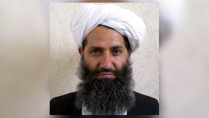 Iranpress: Taliban