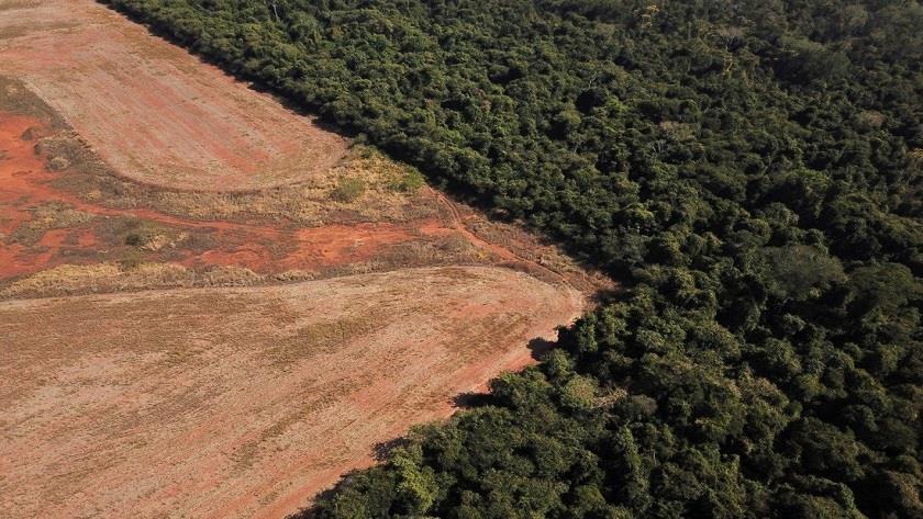 Iranpress: COP26: Over 100 countries commit to ending deforestation by 2030