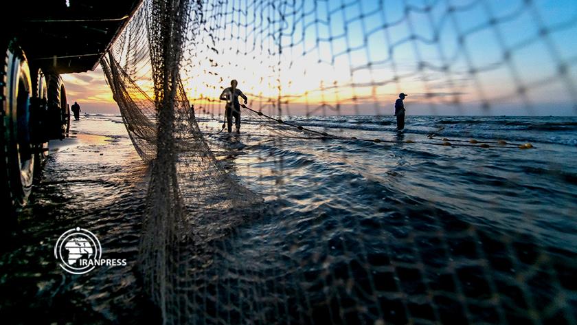 Iranpress: Iran starts fishing on shores of Caspian Sea 