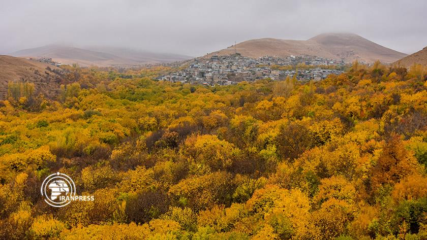 Iranpress: Vafs village in Iran, colorful paradise in autumn