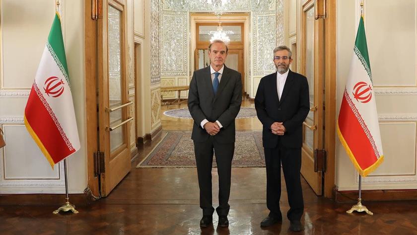 Iranpress: No nuclear negotiations in Vienna Talks: Bagheri-Kani