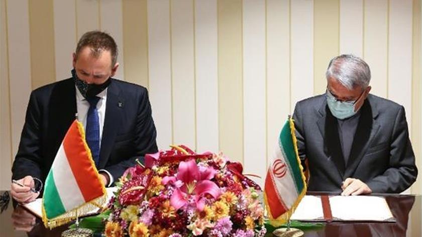 Iranpress: Iran ,Hungary officials discuss sport cooperation