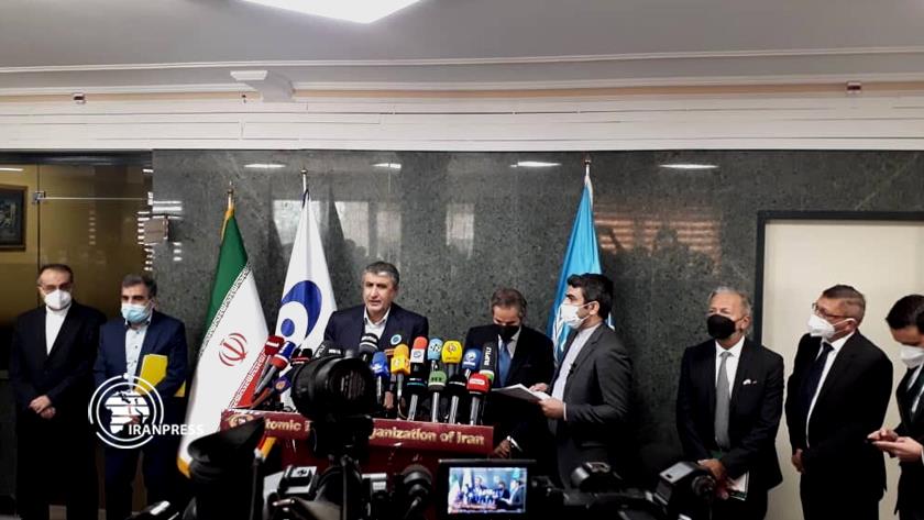 Iranpress: Iran determined to implement its nuclear program: Nuclear chief