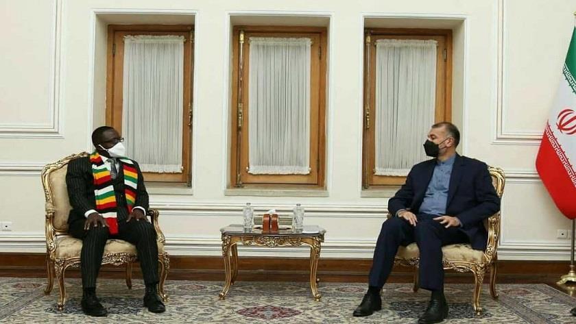 Iranpress: Amir Abdollahian: Iran determined to expand ties with African countries