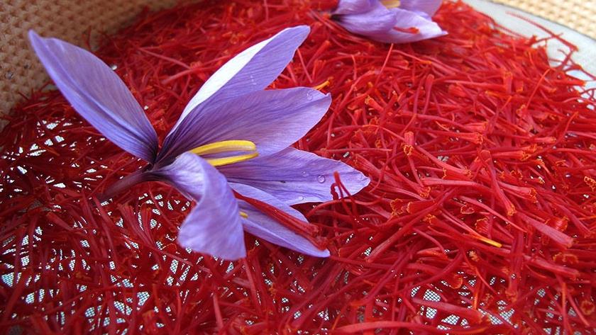 Iranpress: Iran exports $ 60 million saffron in 7 months
