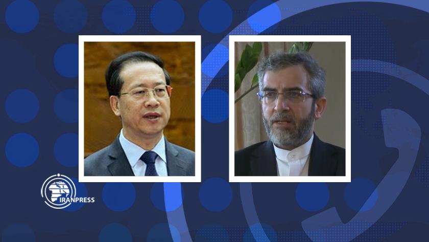 Iranpress: Iran, China confer on Vienna talks on phone