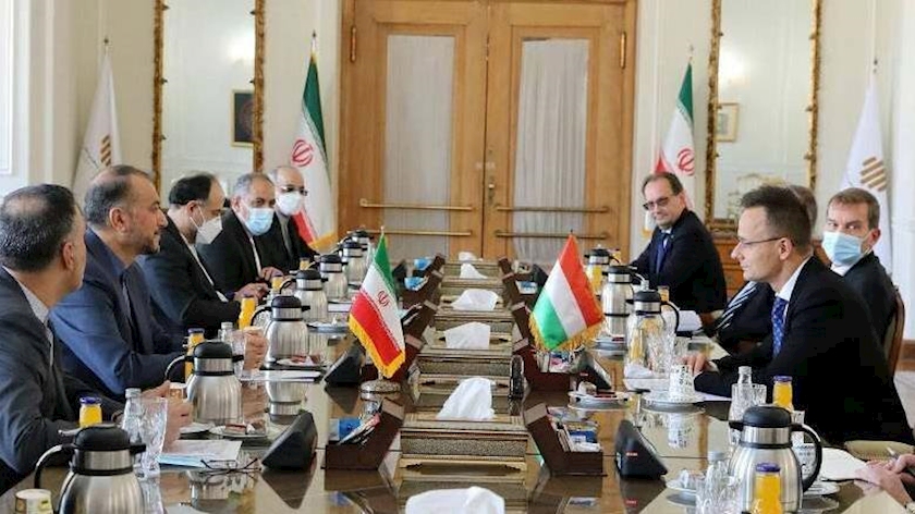 Iranpress: FM stresses need to boost Iran-Hungary cooperation