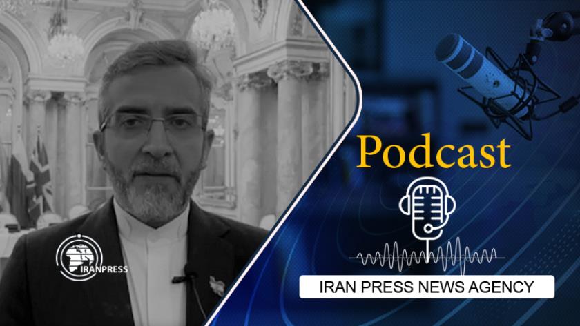 Iranpress: Success of Vienna talks depend on lifting sanctions