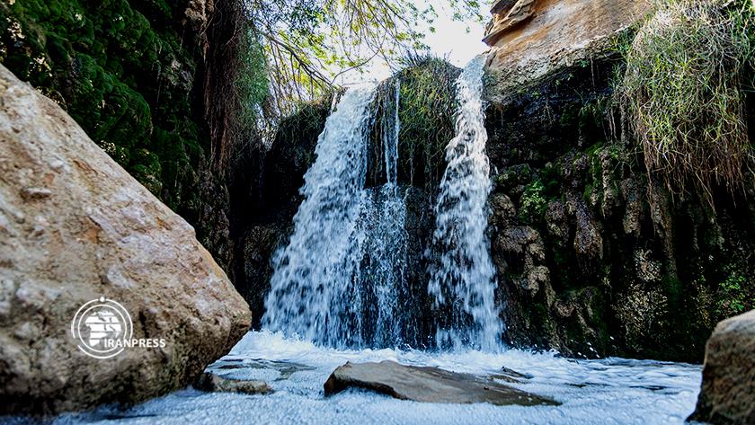 Iranpress: Zirrah waterfall; eye-catching view in winter