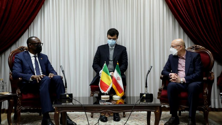 Iranpress: Mali’s FM calls Iran role model for scientific progress