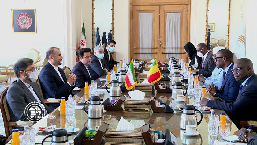 Iranpress: Iran, Mali FMs discuss bilateral ties