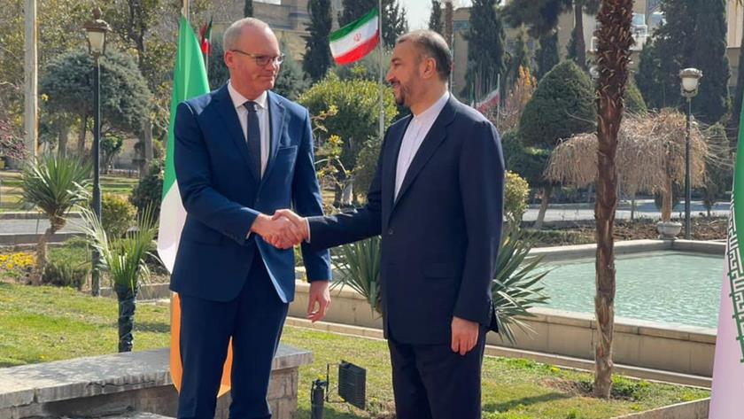 Iranpress: Iran-Ireland FMs meet in Tehran 