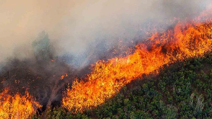 Iranpress: Number of wildfires to rise by 50% by 2100, governments not prepared, experts warn