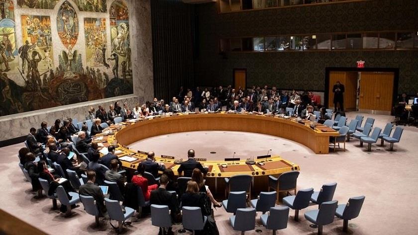 Iranpress: Russia vetoes UNSC resolution on Ukraine conflict