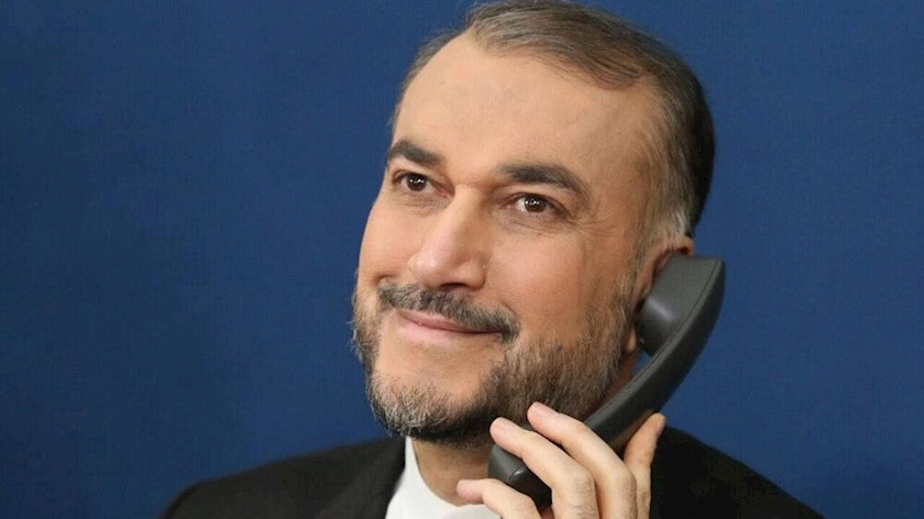 Iranpress: Foreign Minister stresses need for political ways to resolve Ukraine crisis