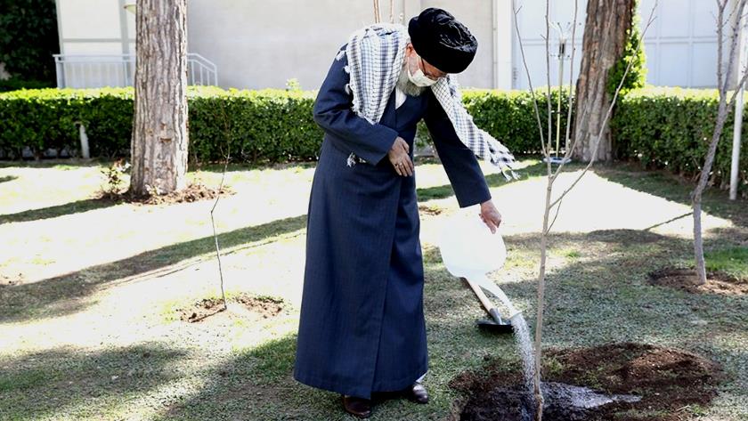 Iranpress: Leader plants tree saplings, marking National Tree Planting Day