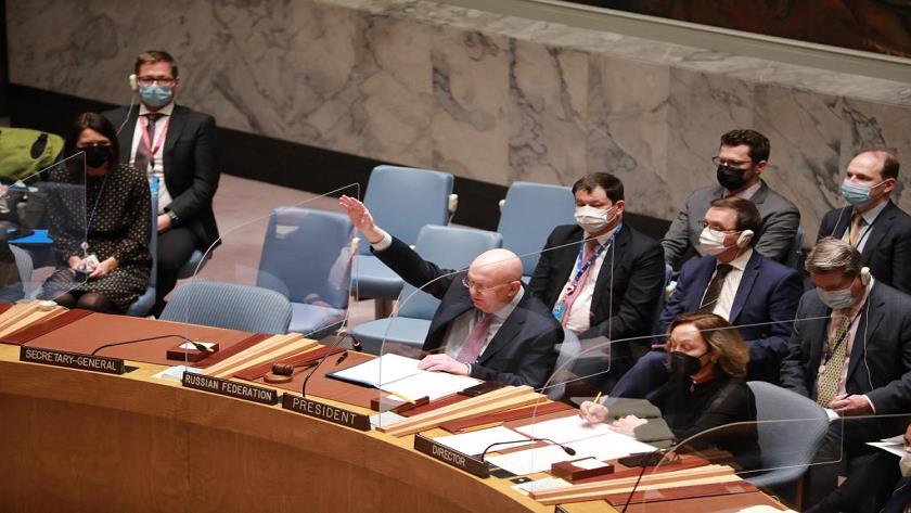 Iranpress: UN Security Council rejects Russian draft resolution on Ukraine