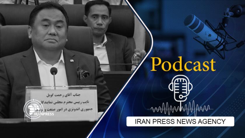 Iranpress: Iranian, Indonesian officials hold cooperative talks in Tehran 