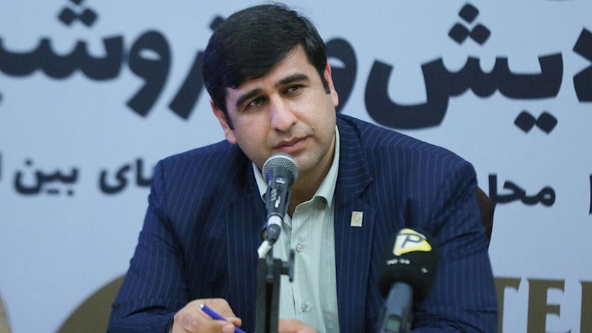Iranpress: Relying on domestic capacity neutralizes sanctions, says head of IIES