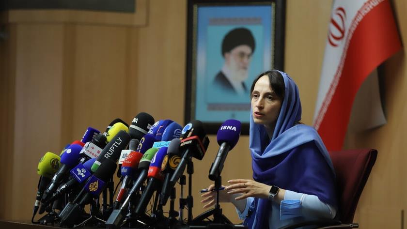 Iranpress: Sanctions on Iran illegal, UN rapporteur disgraces US 