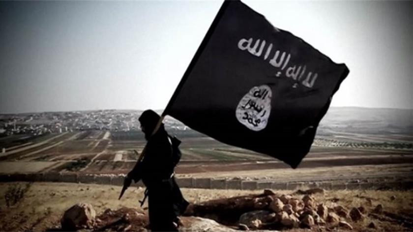 Iranpress: Turkey captures ISIS leader in Istanbul