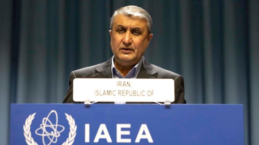 Iranpress: IAEA and Grossi acting under political pressure: AEOI