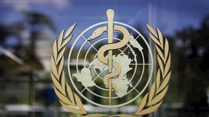 Iranpress: WHO to change name of Monkeypox disease, Tedros says