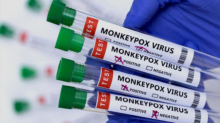 Iranpress: Monkeypox cases in Britain pass 500