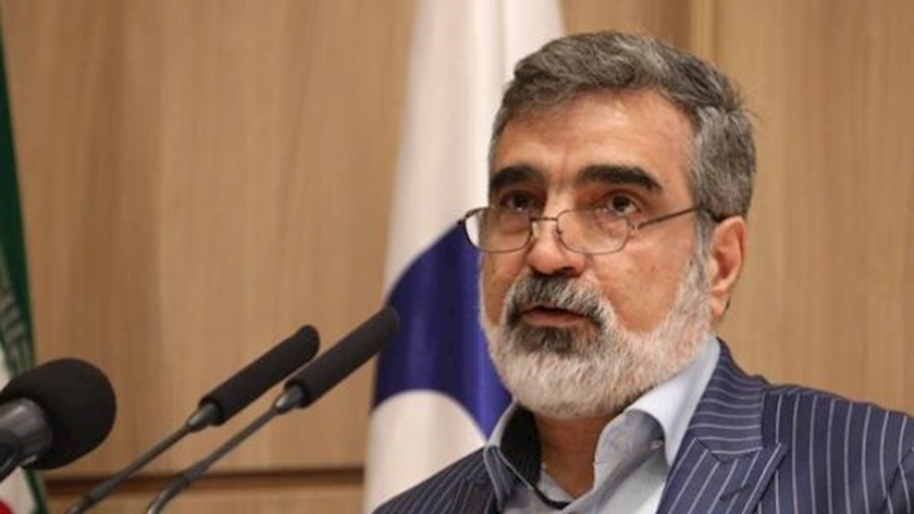 Iranpress: Kamalvandi: IAEA is fully aware of Iran